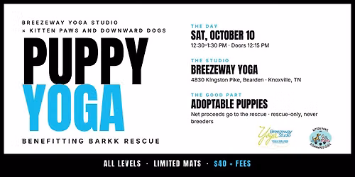 Puppy Yoga Knoxville Benefitting a Local Rescue