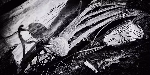 Galeria Enter - Ewa Lidia - fotografia, grafika \/ Maria Kulbacka - grafika, rysunek