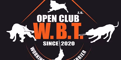 VI. DOUBLE W. B. T. SHOW