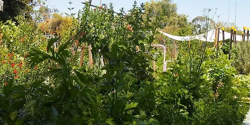 Creating Green Spaces \u2013 101 Permaculture Design