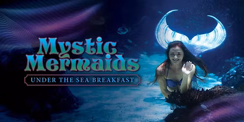 Aquarium Nashville - Mystic Mermaids Under the Sea Breakfast