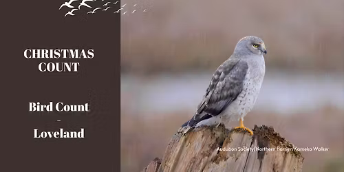 Christmas Bird Count Loveland Area