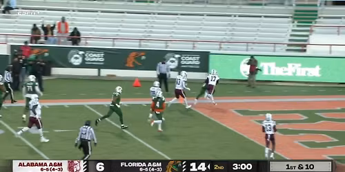 Alabama A&M Bulldogs at Florida A&M Rattlers Womens Basketball