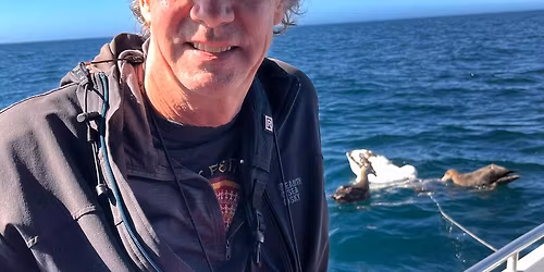 Birds and Bird Conservation in New Zealand