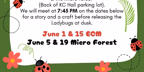 Ladybug Release with Story & Craft! 