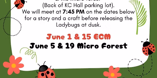 Ladybug Release with Story & Craft! 