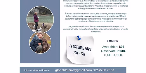 Stage Tellington TTouch - travail au sol et conduite en laisse
