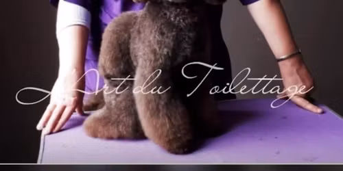 Asian Style dispens\u00e9 par Virginie Hoebeke