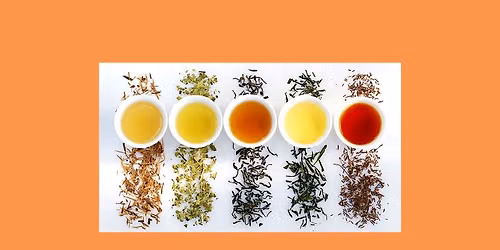 Introduction to Tea Tasting 
