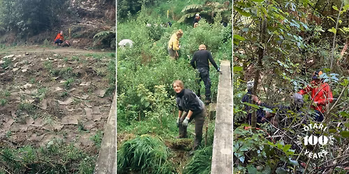 A revisitation of the Kaiwharawhara Restoration