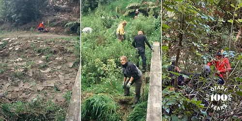 A revisitation of the Kaiwharawhara Restoration