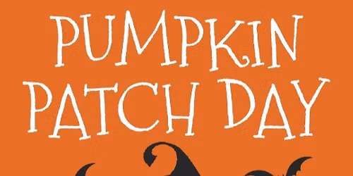 South Devon Pumpkin Patch 