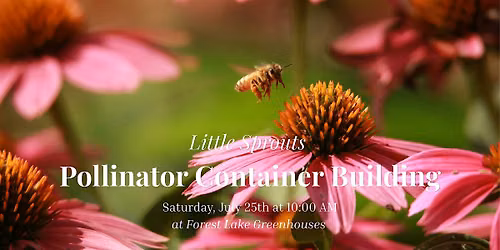 Kids Pollinator Container Building