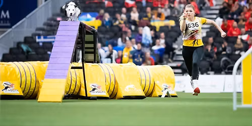 Annika af Klerckerin agilityvalmennus Haminassa Koirakkona Oy