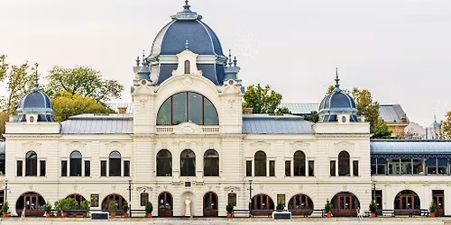 A j\u00e9gkorcsolya pesti hist\u00f3ri\u00e1ja