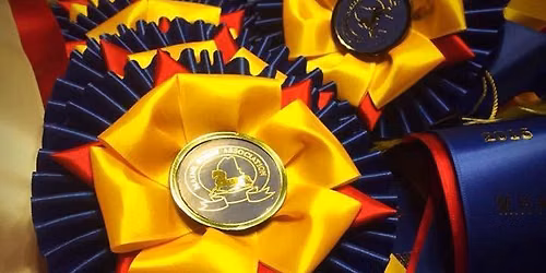 Downeast Horse Congress Horse Show