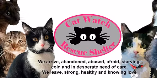 Cat Watch Christmas Shoe Box Appeal