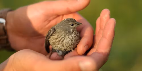 RDV durable | Rallye nature \u2013 faune sauvage en d\u00e9tresse