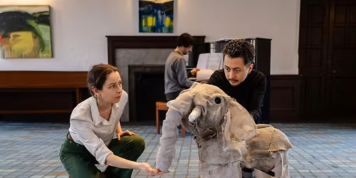 "There is an Animal That is Called an Elephant": work-in-progress sharing
