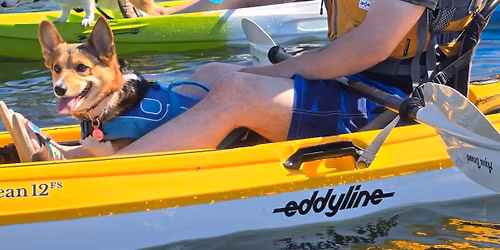 Corgi Paddle - 4th Annual