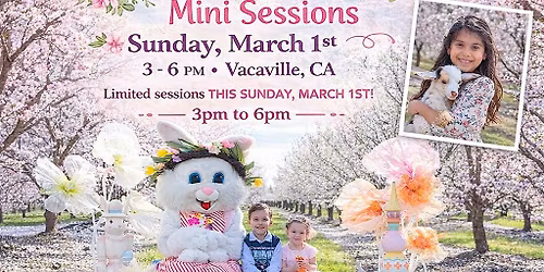 Almond Blossom Photography Play date