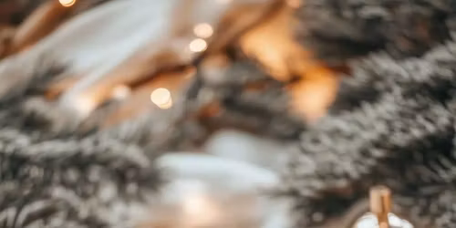 Community Get-Together & Volunteer Meetup!