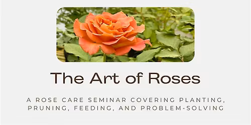 The Art of Roses