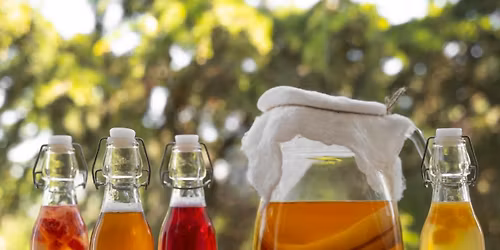 Atelier d\u2019initiation au kombucha, pour un \u00e9t\u00e9 p\u00e9tillant au naturel (Kombucha Workshop)