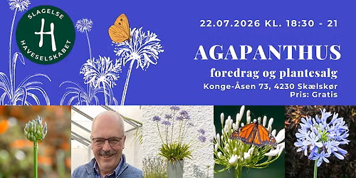 Agapanthus & Havehygge