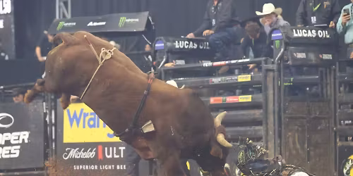 PBR Louisville