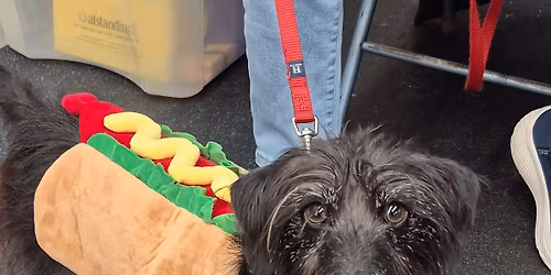 C-WAGS Rally Games Trial