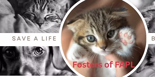 Paw Prints on Hearts: Compassion Fatigue & Renewal!