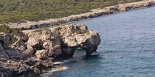 \u039c\u03bf\u03bd\u03bf\u03c0\u03ac\u03c4\u03b9 \u0391\u03bb\u03ba\u03c5\u03bf\u03bd\u03af\u03b4\u03c9\u03bd