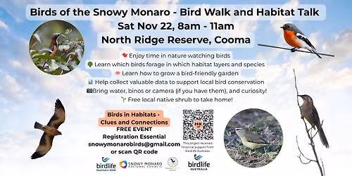 Birds in Habitats - Clues and Connections - Birds of the Snowy Monaro