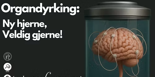 Organdyrking: Ny hjerne, Veldig gjerne!