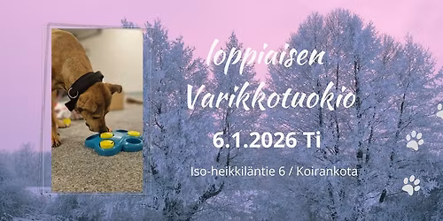 Loppiaisen Varikkotuokio \/ Koirankota