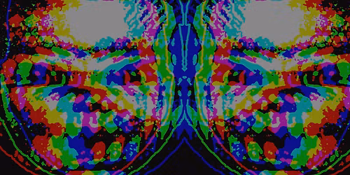 Acid Bath with Baroness