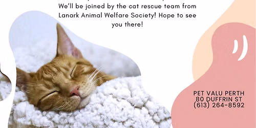 National Adoption Event