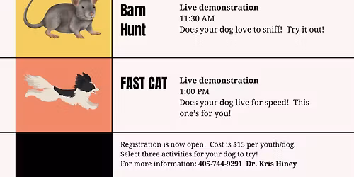 Dog Adventure Day, Responsible Dog Ownership Day (RDO) and Dog Judging 101 for Kids!