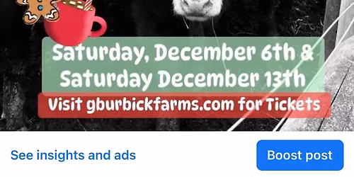 Christmas Cookies & Cocoa with Cows 