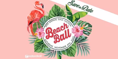 Outdoors for All Beach Ball 2025