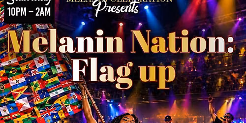 MELANIN NATION : FLAG UP