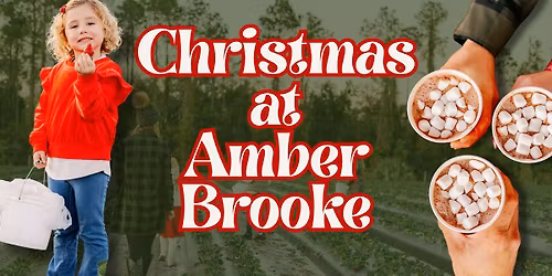 Christmas at Amber Brooke