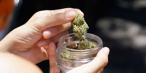 Amsterdam: Private Cannabis Culture Tour with Coffeeshops
