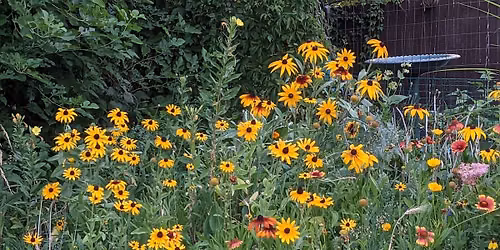 HeightsNEXT 2026 Garden Tour
