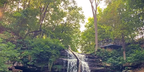 (HAMILTON) Smokey Hallow Waterfalls Hike & Mindful Meditation & Forest Bathing