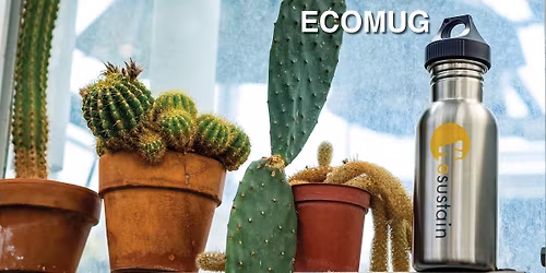 Workshop: Sustainable Suds