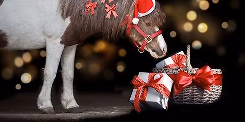 Promenades gratuites en cal\u00e8che et poneys