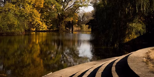 Forest Bathing Guided Walk