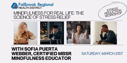 Mindfulness for Real Life: The Science of Stress Relief